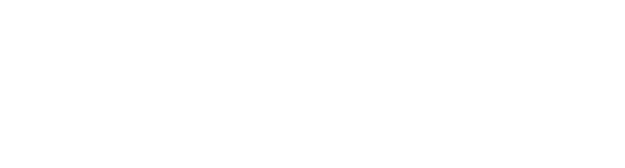 devitla-logo-cut